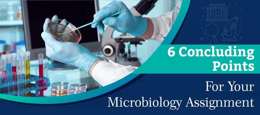 write an essay on a business plan as a microbiologist